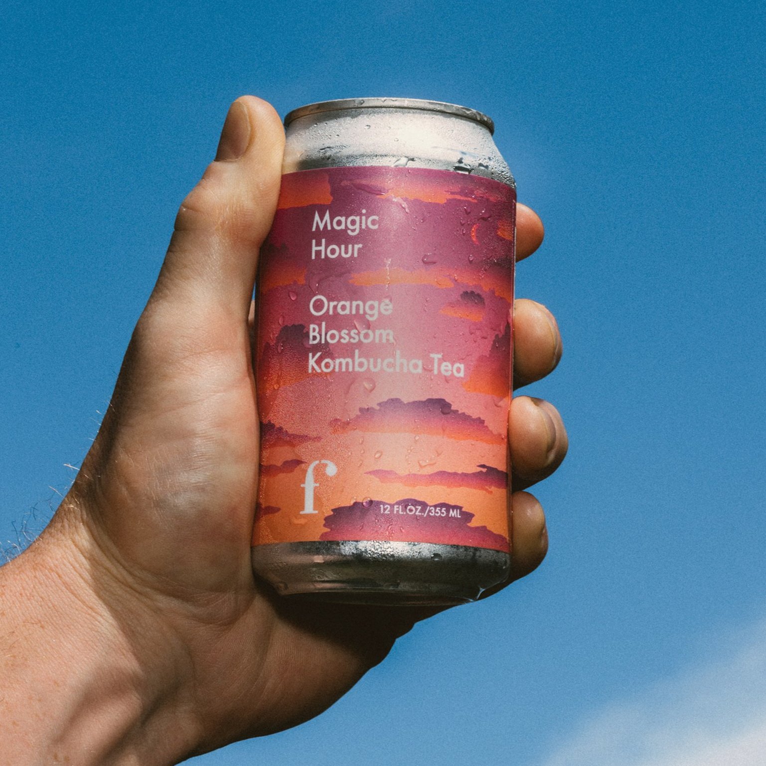 Mixed 12-Pack — Figment